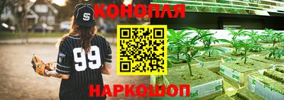 a pvp Гагарин