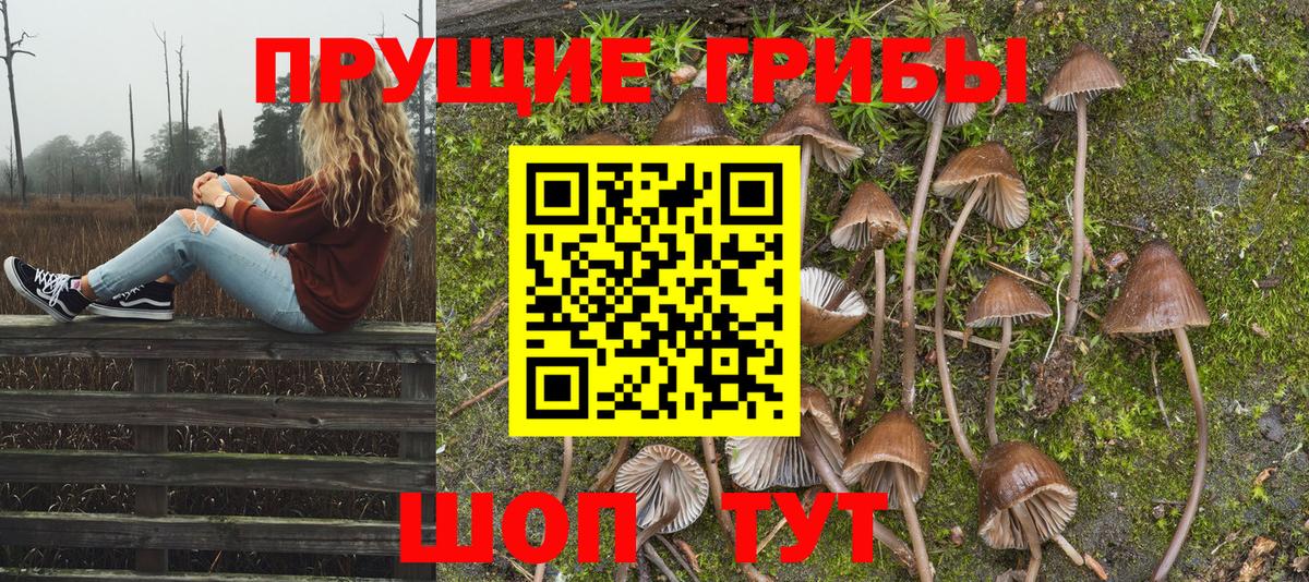 Псилоцибиновые грибы Psilocybe  Галлюциногенные грибы Magic Shrooms  Гуково  Вход с VPN 